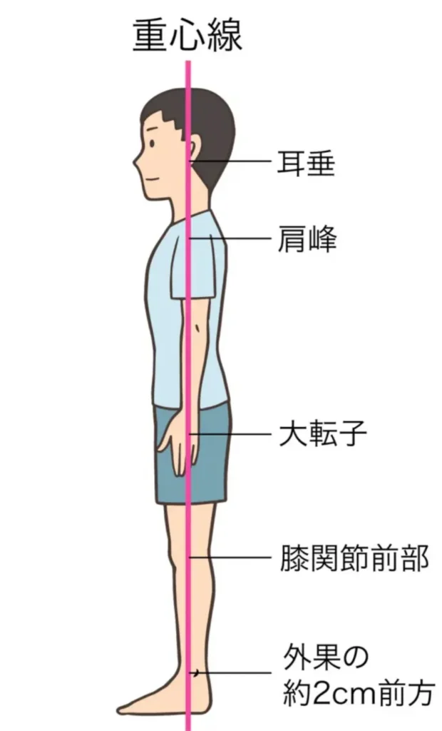 姿勢改善
骨盤矯正
